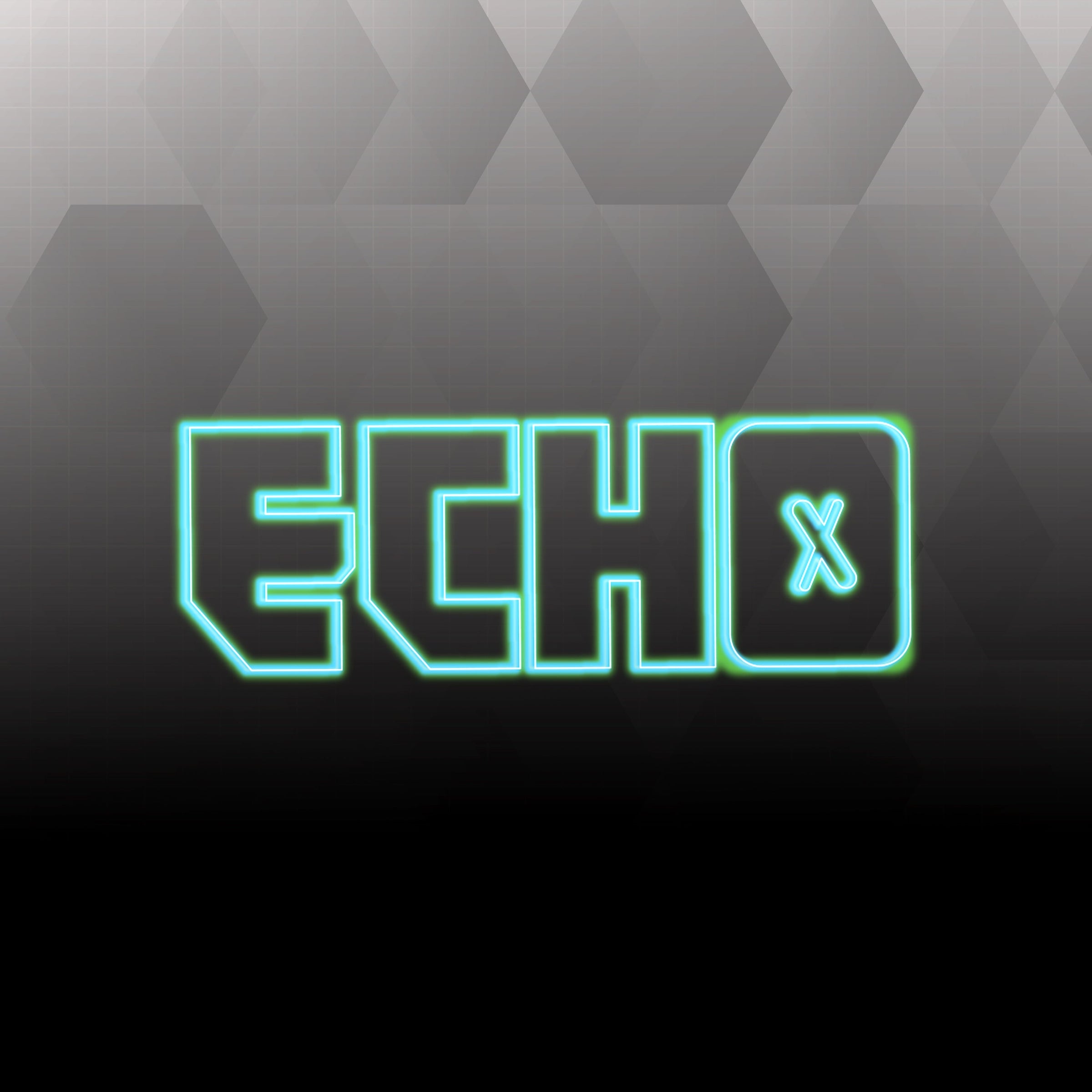 Echo