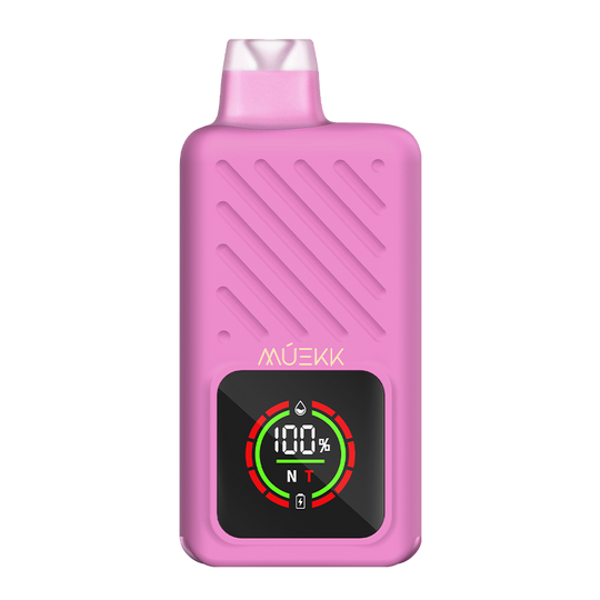 elfbar elfa master akku MUEKK - Model X - Pink Burst